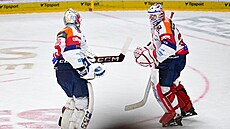 Jakub Vondra� (vlevo) st�ídá na Spart� pardubického kolegu Romana Willa.