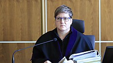 Krajský soud v Brn rozhodl v pípadu smrti Roma u Brnnské pehrady, 22....