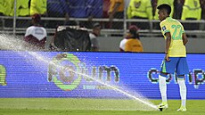 Brazilskýmladí�ek Estevao se pokou�í zastavit spu�t�né zavla�ování, které...