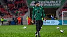 Asistent trenéra ma�arské reprezentace Ádám Szalai