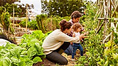 Co se vám letos na va�í zahrad� opravdu povedlo? Jaký výp�stek vás p�ekvapil...