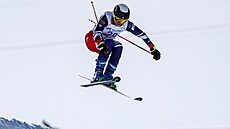 Skikrosa�ka Diana Cholenská b�hem mistrovství sv�ta v Bakuriani