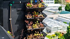 Environmentální pavilon ZU je nízkoenergetický.  Technologie ídí chytrý...