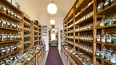 Království chuti v pra�ských Nuslích (11. listopadu 2024)