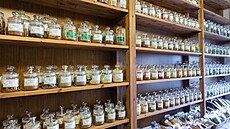 Království chuti v pra�ských Nuslích (11. listopadu 2024)