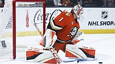 Branká� Luká� Dostál z Anaheimu v zápase s Vegas.