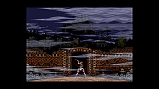 Castlevania Anniversary Collection