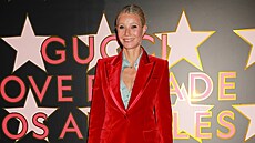Na chlup stejný model si Paltrowová oblékla na akci po�ádanou módním domem...