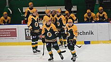 Vsetíntí hokejisté po gólu