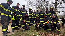 Foxteriéra, který dnes ve Stromovce vb�hl do nory, hasi�i vykopali, zachránili...