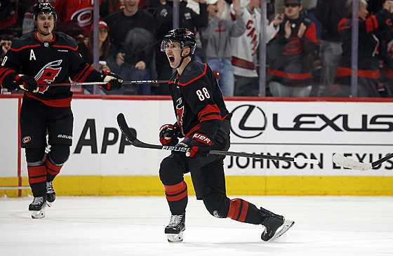 Martin Ne�as z Caroliny jásá po gólu, který vst�elil v utkání proti Dallasu.