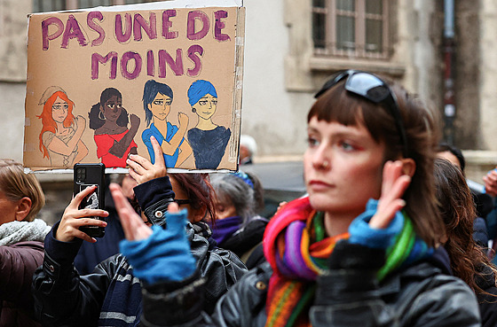 Tisíce Francouz� demonstrují proti násilí páchanému na �enách. (23. listopadu...