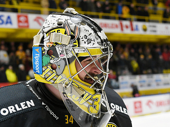 Verva Litvínov - Dynamo Pardubice, hokejová extraliga. �imon Zají�ek slaví.