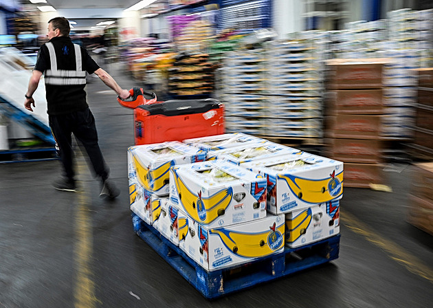 Za kokain v banánech čelí žalobě bývalý vedoucí Lidlu a spolupracovník Krejčíře
