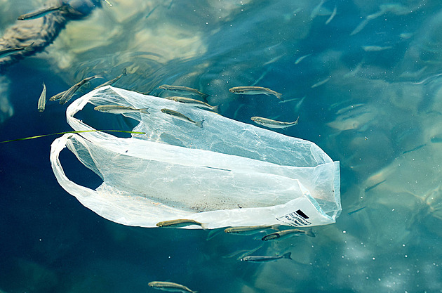 Japonci mají přelomový vynález. Vyvinuli plast, který se rozpustí v mořské vodě