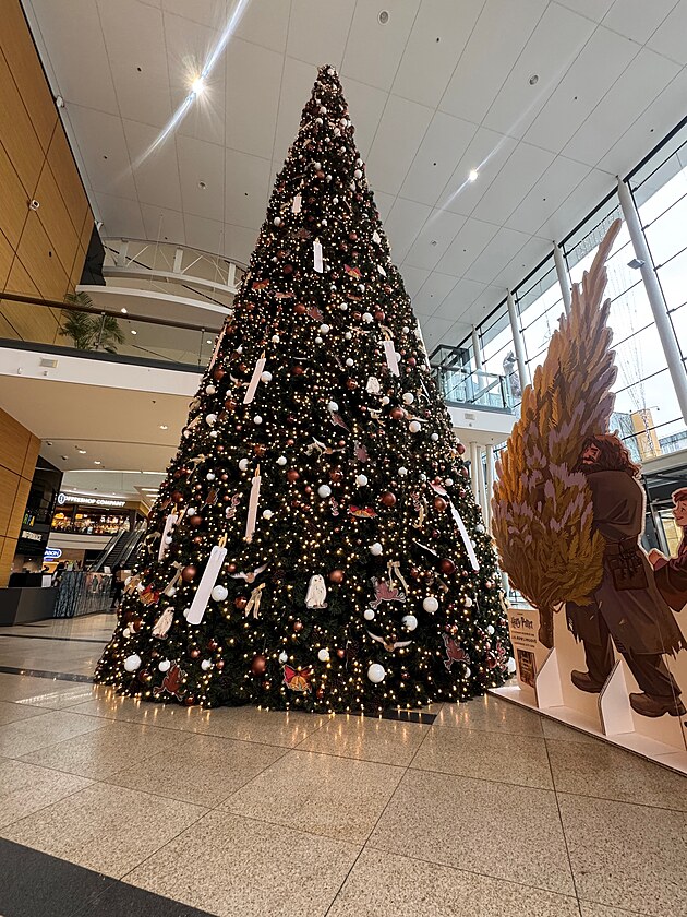 Kouzeln advent na Harf