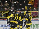 Litvínov�tí hokejisté se radují ze vst�elené branky proti Pardubicím.