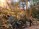 V teplick botanick zahrad zanaj kvst nejvt agve svta. (listopad...