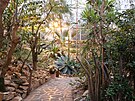 V teplick botanick zahrad zanaj kvst nejvt agve svta. (listopad...