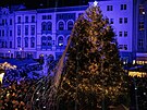 Rozsvcen vnonho stromu v Olomouci tradin pilkalo velkou pozornost.