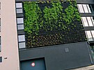 Developersk projekt Green Wall Tomkova v Olomouci.