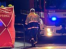 Policie zasahuje na Nuselskm most pot, co z nho skoil lovk. (29....