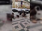 Strnci pokutuj Rumuny ebrac se psy v centru Prahy