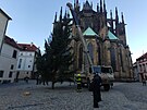 Na Praskm hrad instalovali ve tvrtek vnon stromeek. (28. listopadu 2024)