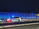 Policie zasahuje na Nuselskm most pot, co z nho skoil lovk. (29....