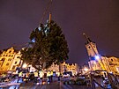 Na Staromstsk nmst v Praze dorazil v noci vnon strom. (26. listopadu...