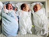 �eskokrumlovská porodnice pat�í mezi t�i nejlep�i malé porodnice v �eské...