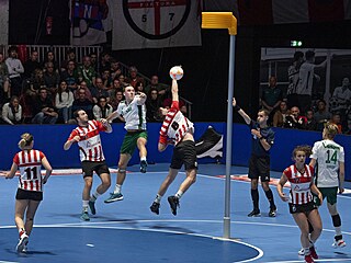 Fortuna/Delta Logistics hraje proti PKC/Vertomu, Rotterdam �ije korfbalovou...