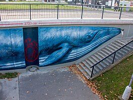 Brno zkrá�lují nást�nné malby, tzv. muraly. (2024)