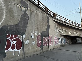Brno zkrá�lují nást�nné malby, tzv. muraly. (2024)