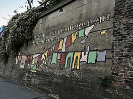 Brno zkrá�lují nást�nné malby, tzv. muraly. (2024)