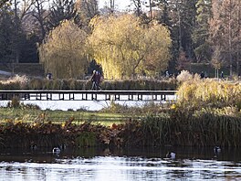 Okolí holeovického Výstavit a Stromovky zmní podobu. (23. listopadu 2024)
