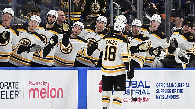 Pavel Zacha slav� se spoluhr��i branku.