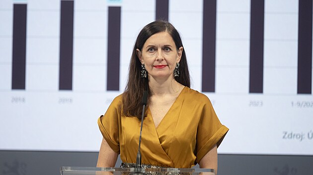 Vl�dn� zmocn�nkyn� pro lidsk� pr�va Kl�ra �im��kov� Lauren��kov� p�i setk�n� s novin��i p�i p��le�itost� Mezin�rodn�ho dne boje proti n�sil� na �en�ch