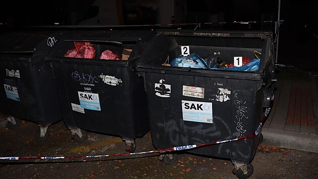 Nhodn kolemjdouc nael na konci jna 2024 pod stromem v itn ulici v brnnskch ekovicch odhozenou novorozenou holiku.