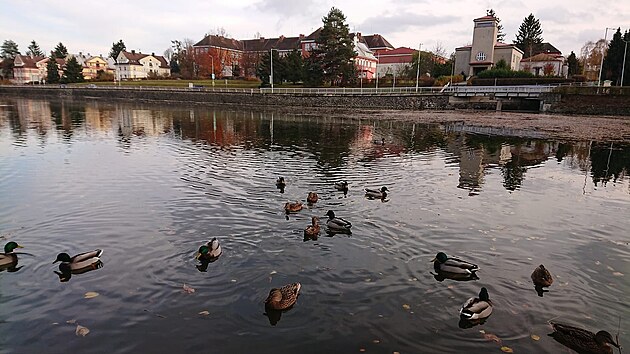 Nben ze Synskho rybnka ze 30. let je ve patnm technickm stavu.