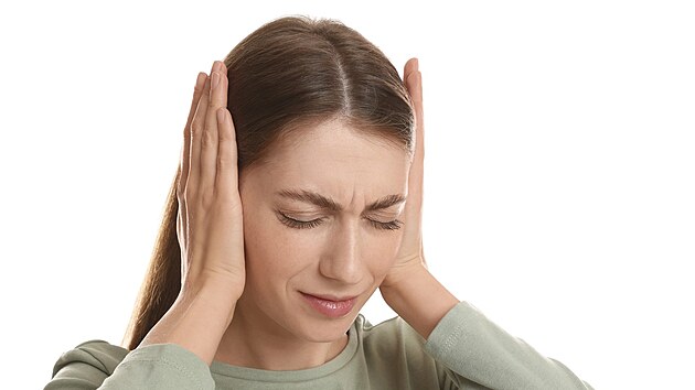 Ilustra�n� fotografie