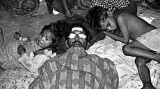 Jedy z chemické továrny v Bhópálu b�hem prvního týdne zabily osm tisíc lidí....