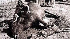 Jedy z chemické továrny v Bhópálu b�hem prvního týdne zabily osm tisíc lidí....