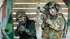 Hlavn� zbran�. N�mci cht�jí p�ipravenou armádu.