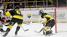 Kry�tof Hrabík ze Sparty (vlevo) p�ekonává litvínovského branká�e �imona...