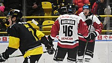 Spar�ané Kry�tof Hrabík a Ond�ej Najman slaví gól do litvínovské brány.