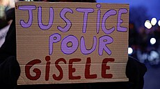 Tisíce Francouz� demonstrují proti násilí páchanému na �enách. (23. listopadu...