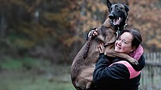 Pytláci v Africe z nj u pedem mají strach, proto mu vyhroují...