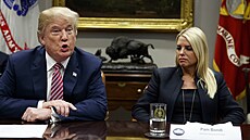 Zvolený americký prezident Donald Trump v noci na pátek nominoval do ela...