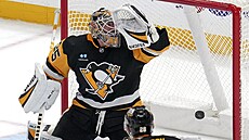 Tristan Jarry inkasuje gól.